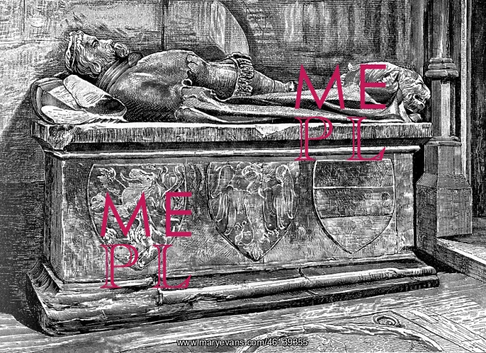 : Ottokar II, King of Bohemia : Ottokar II, King of Bohemia