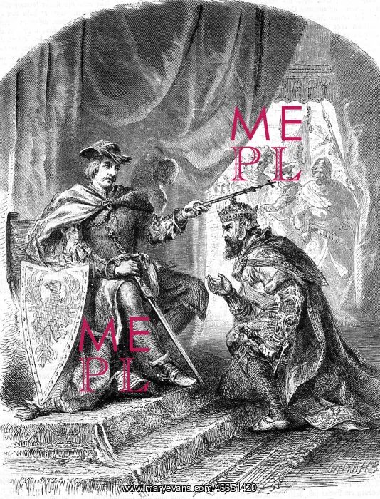 : Ottokar II, King of Bohemia : Ottokar II, King of Bohemia