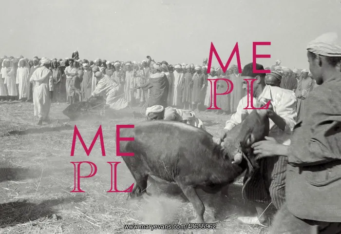 : Oued Zem-Morocco-Revolution : Oued Zem-Morocco-Revolution