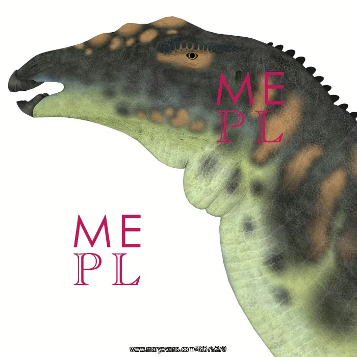 : Ouranosaurus dinosaur head : Ouranosaurus dinosaur head
