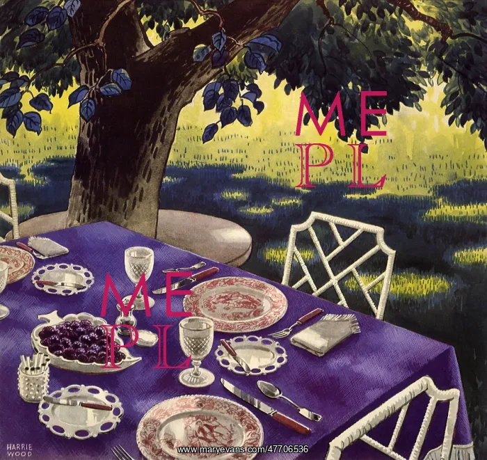 : Outdoor Meal : Outdoor Meal