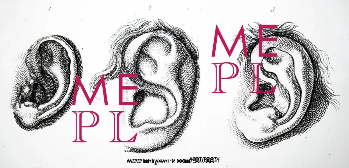 : Outer ear. From JC Lavater Essays in Physiognomy, London, 1789-98 : Outer ear. From JC Lavater Essays in Physiognomy, London, 1789-98