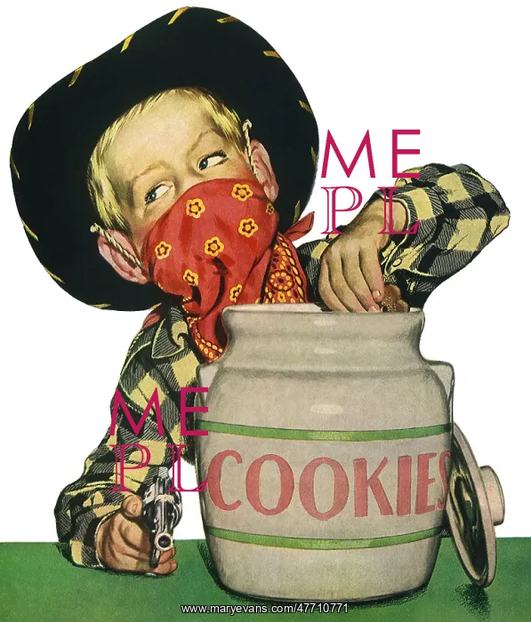 : Outlaw Raids Cookie Jar : Outlaw Raids Cookie Jar