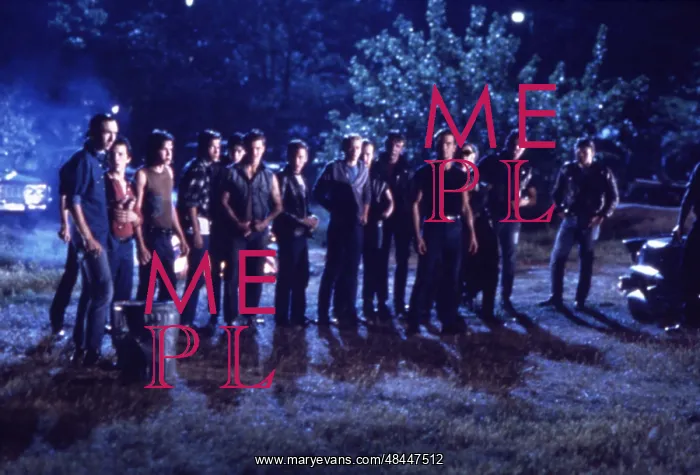 : THE OUTSIDERS : THE OUTSIDERS
