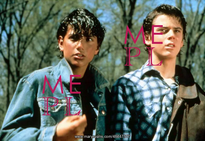 : THE OUTSIDERS : THE OUTSIDERS
