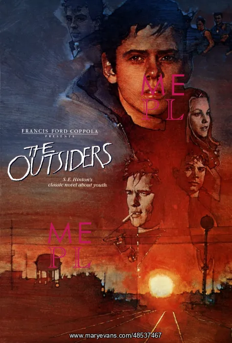 : THE OUTSIDERS : THE OUTSIDERS