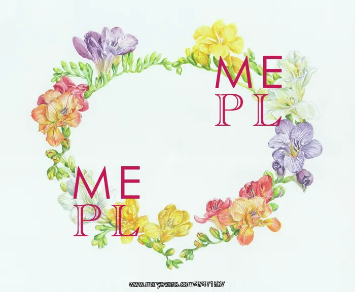  : Oval border with freesias