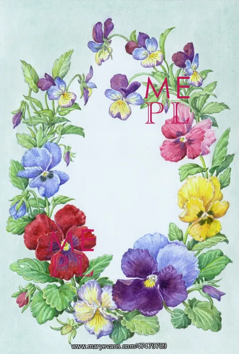  : Oval border of pansies and violas