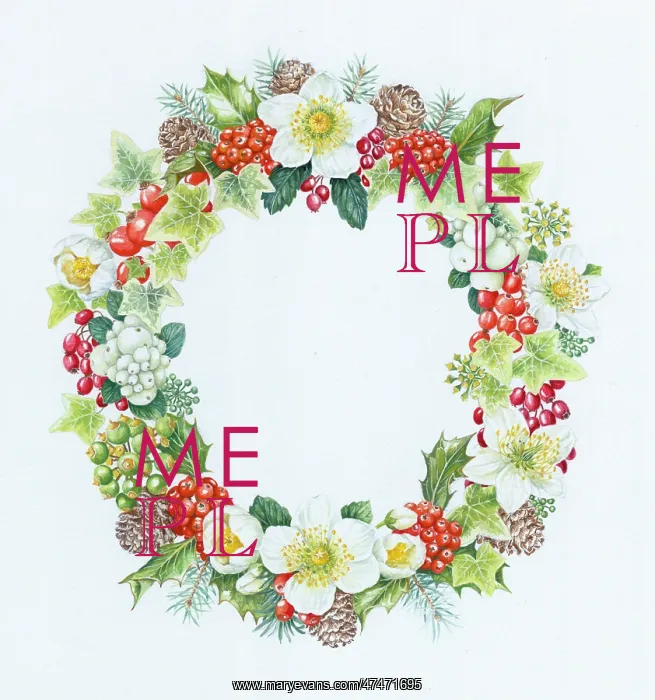  : Oval Christmas border