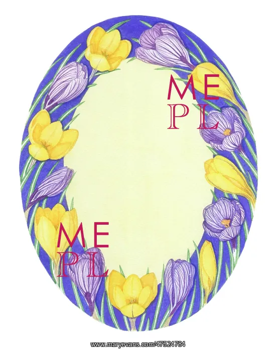 : Oval Crocus border : Oval Crocus border