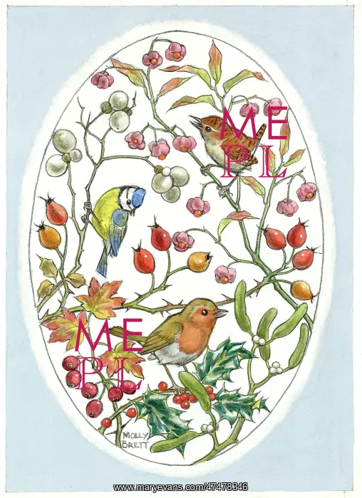 : Oval design with bluetit, robin, wren and berries : Oval design with bluetit, robin, wren and berries