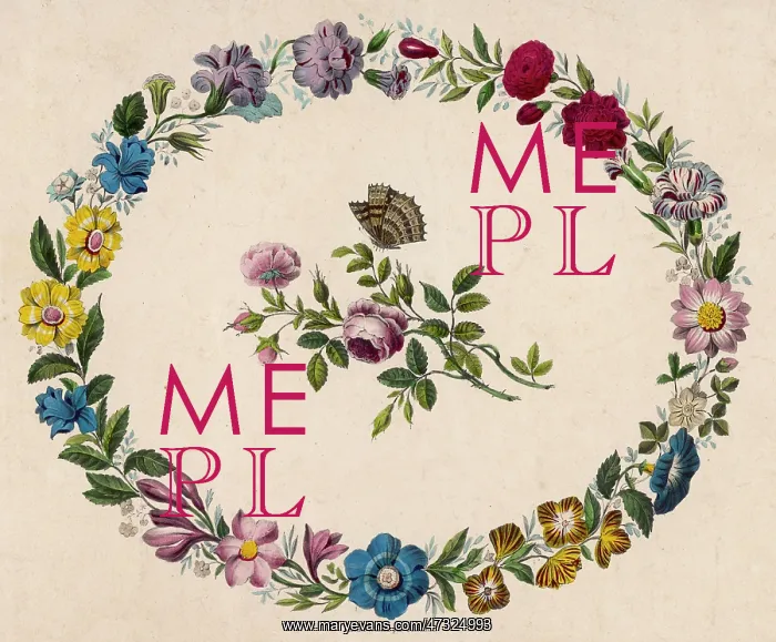 : Oval Floral Border : Oval Floral Border