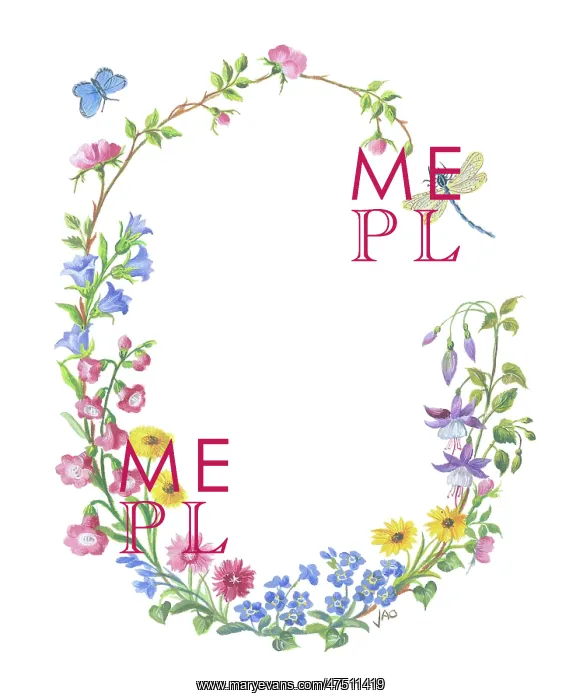: Oval of flowers with blue butterfly and dragonfly : Oval of flowers with blue butterfly and dragonfly
