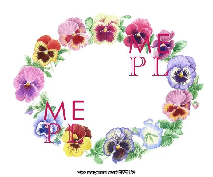  : Oval Pansy Border