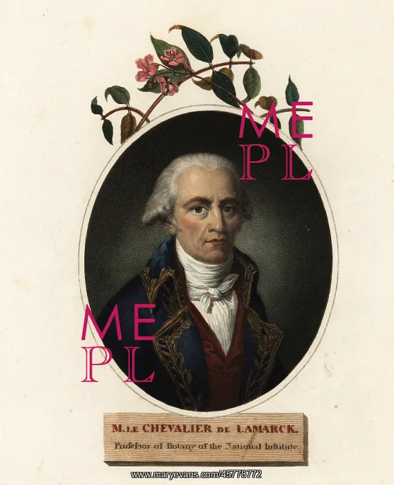 : Oval portrait of Jean-Baptiste Lamarck, French naturalist : Oval portrait of Jean-Baptiste Lamarck, French naturalist