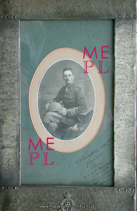 : Oval portrait of Lieutenant Colonel C V Bulstrode : Oval portrait of Lieutenant Colonel C V Bulstrode