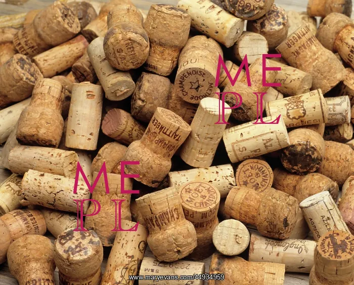  : Overall Pattern of Champagne and Wine Corks