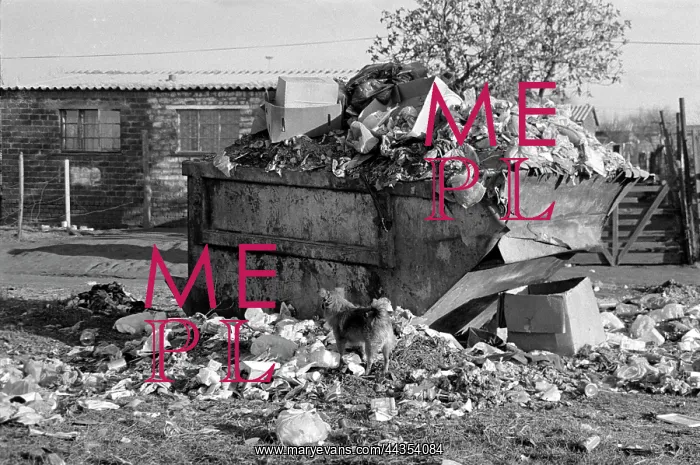 : Overfull rubbish dumpster in a street in Tembisa : Overfull rubbish dumpster in a street in Tembisa