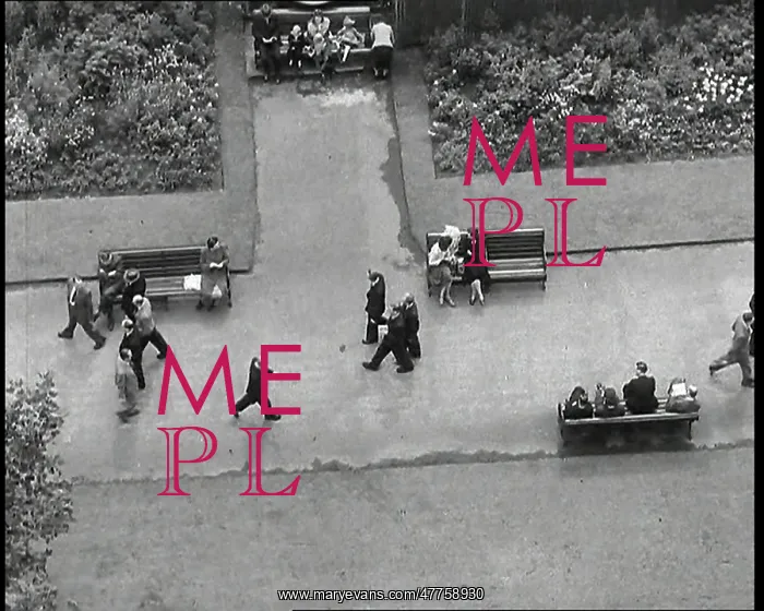 : An Overhead Shot of Pedestrians Walking Up : An Overhead Shot of Pedestrians Walking Up