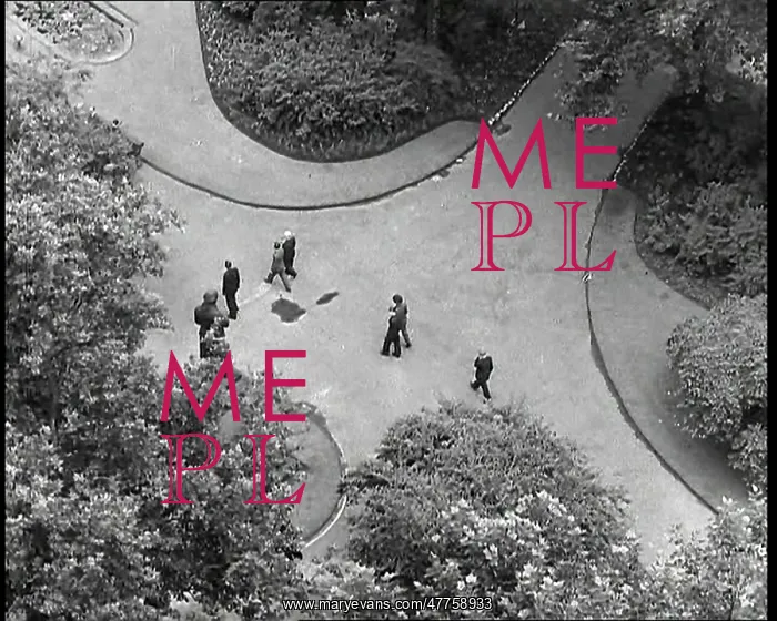 : An Overhead Shot of Pedestrians Walking Along : An Overhead Shot of Pedestrians Walking Along