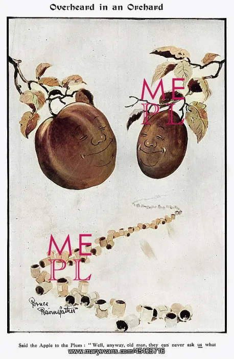 : Overheard in an Orchard by Bruce Bairnsfather : Overheard in an Orchard by Bruce Bairnsfather