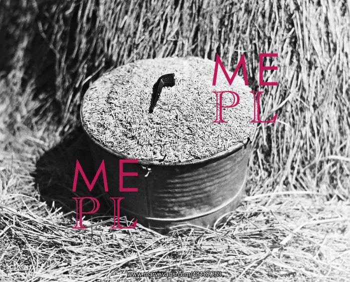 : Overproduction of wheat, 1934 : Overproduction of wheat, 1934