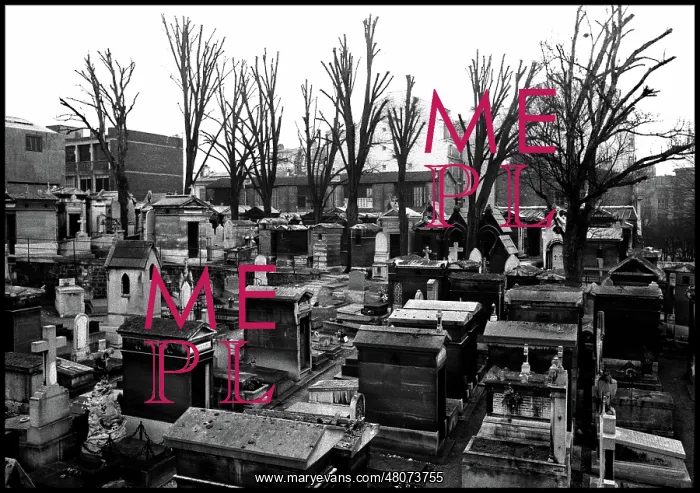  : Overview of a Paris Cementery, France