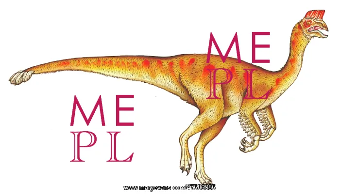 : Oviraptor. This dinosaur is belived to have been an egg thief : Oviraptor. This dinosaur is belived to have been an egg thief