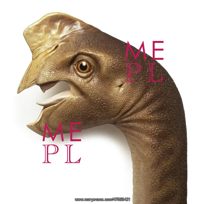 : Oviraptor. A model head of an Oviraptor. These dinosaurs are believe to : Oviraptor. A model head of an Oviraptor. These dinosaurs are believe to