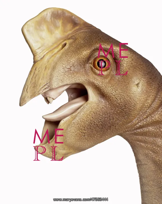 : Oviraptor's jaw was designed to exert great pressure : Oviraptor's jaw was designed to exert great pressure