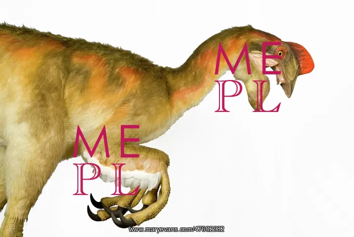 : Oviraptor. An animatronic Oviraptor dinosaur made by Kokoro in colabroration : Oviraptor. An animatronic Oviraptor dinosaur made by Kokoro in colabroration