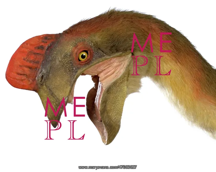 : Oviraptor. An animatronic Oviraptor dinosaur made by Kokoro in colabroration : Oviraptor. An animatronic Oviraptor dinosaur made by Kokoro in colabroration