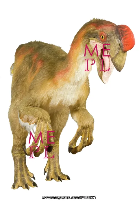 : Oviraptor. An animatronic Oviraptor dinosaur made by Kokoro in colabroration : Oviraptor. An animatronic Oviraptor dinosaur made by Kokoro in colabroration