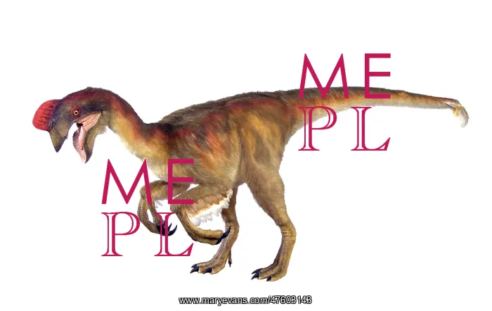 : Oviraptor. An animatronic Oviraptor dinosaur made by Kokoro in colabroration : Oviraptor. An animatronic Oviraptor dinosaur made by Kokoro in colabroration