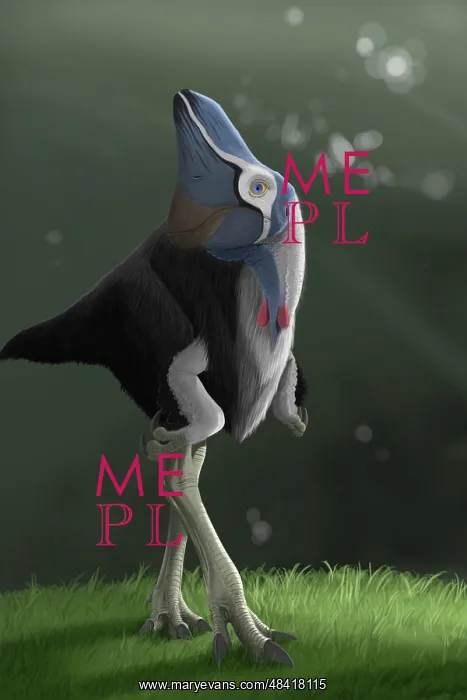 : Oviraptor : Oviraptor