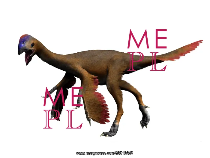 : Oviraptor dinosaur : Oviraptor dinosaur