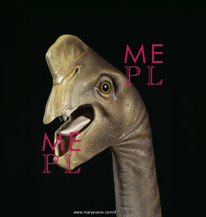 : Oviraptor head : Oviraptor head