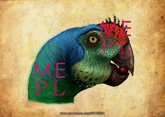 : Oviraptor head detail : Oviraptor head detail