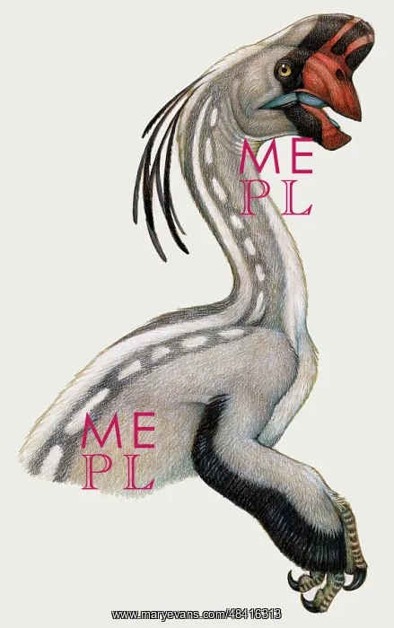 : Oviraptor, a small dinosaur that lived during the ? : Oviraptor, a small dinosaur that lived during the ?