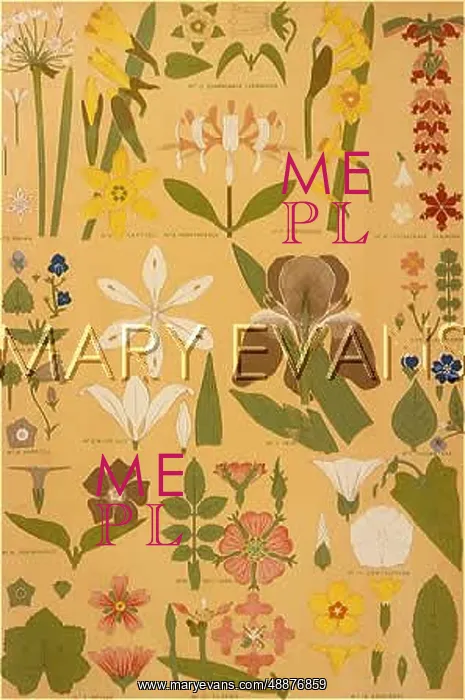 : OWEN JONES FLOWERS 98 : OWEN JONES FLOWERS 98