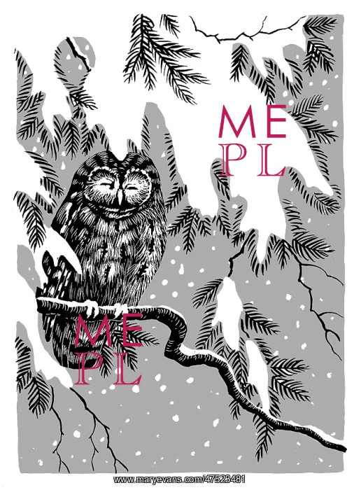 : Owl asleep on a snowy branch : Owl asleep on a snowy branch
