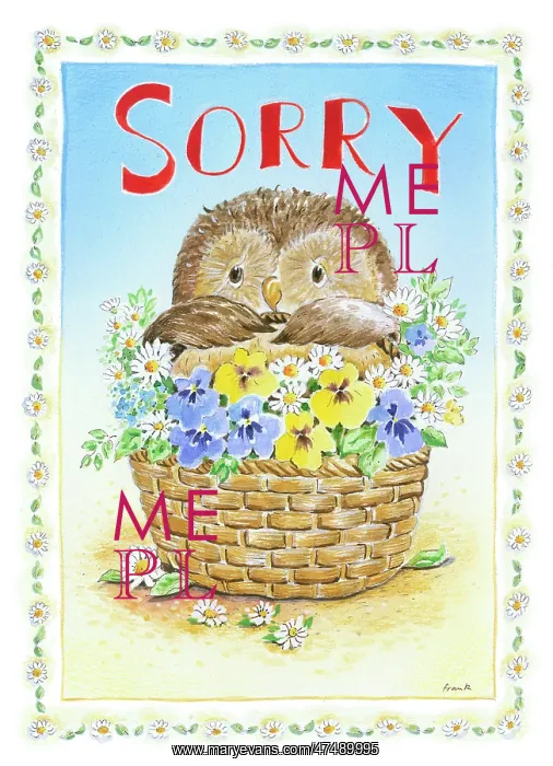  : Owl in a basket of daisies and pansies - Sorry