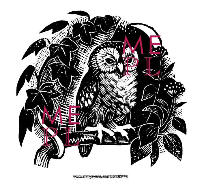 : Owl on a branch with ivy : Owl on a branch with ivy