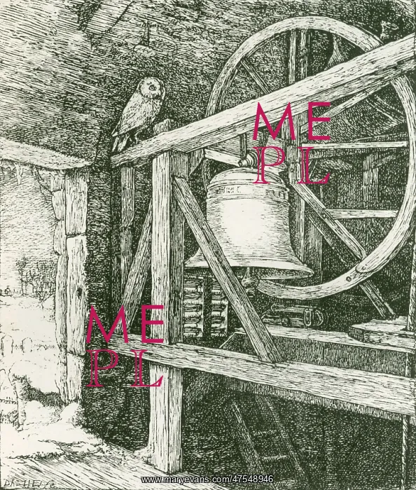 : Owl in Clock Tower by J.E. Millais : Owl in Clock Tower by J.E. Millais