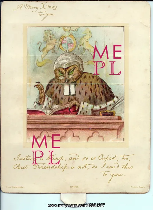 : Owl dressed as a judge on a Christmas card : Owl dressed as a judge on a Christmas card