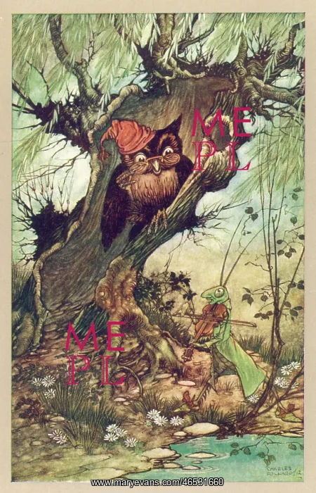 : OWL AND GRASSHOPPER : OWL AND GRASSHOPPER