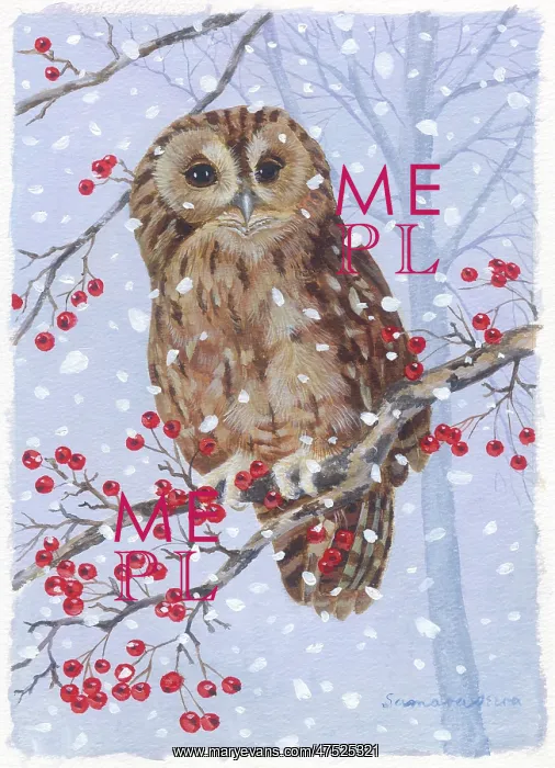  : Owl on a hawthorn branch in the snow