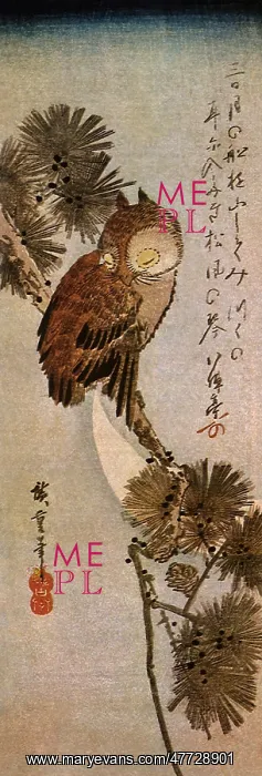  : Owl in Moonlight