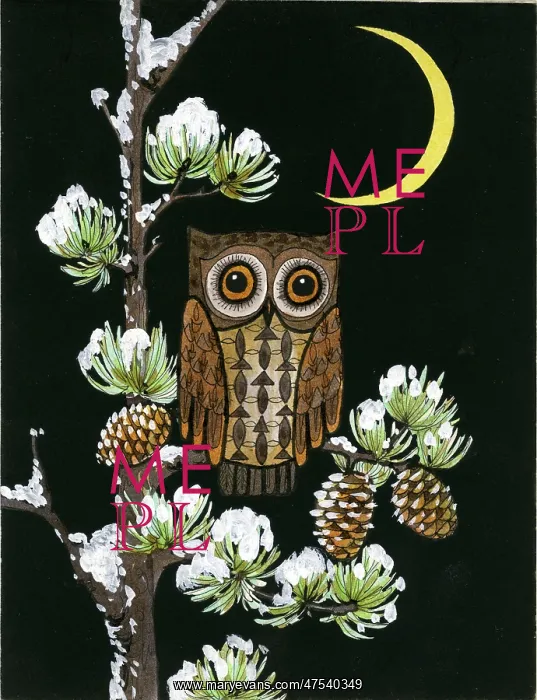: Owl on pine tree : Owl on pine tree