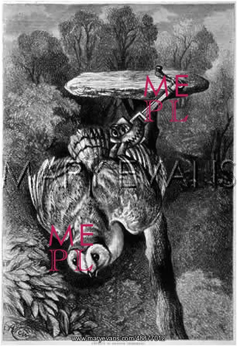 : OWL IN VERMIN TRAP : OWL IN VERMIN TRAP